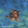 "Ocean Rhythms" 40" x 40" Giclee print on stretched canvas